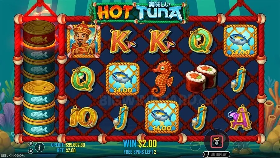 arenalive ph Gambling Glossary of Terms